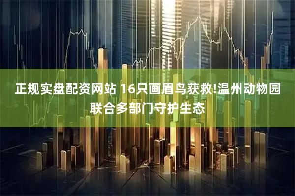 正规实盘配资网站 16只画眉鸟获救!温州动物园联合多部门守护生态