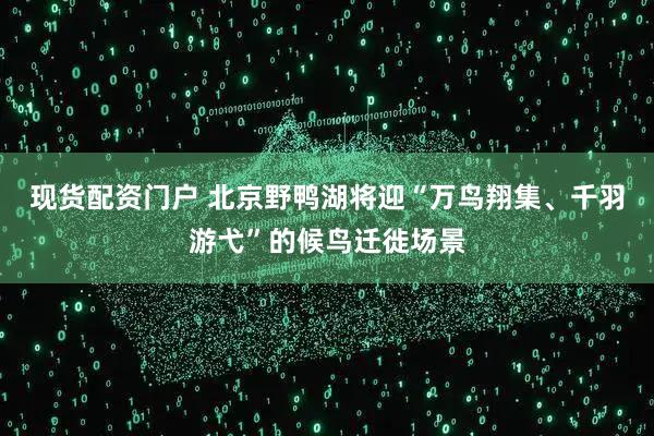 现货配资门户 北京野鸭湖将迎“万鸟翔集、千羽游弋”的候鸟迁徙场景